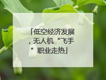 低空经济发展，无人机“飞手”职业走热