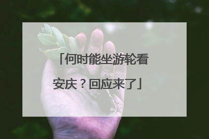 何时能坐游轮看安庆？回应来了