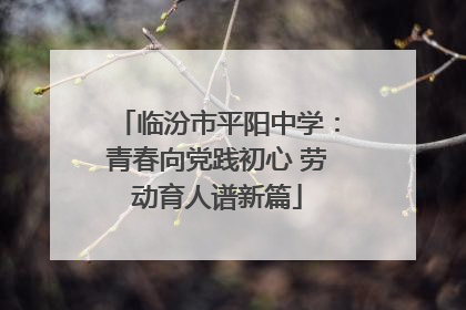临汾市平阳中学：青春向党践初心 劳动育人谱新篇