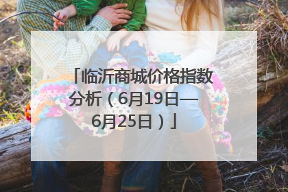 临沂商城价格指数分析（6月19日—6月25日）