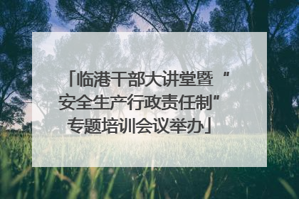 临港干部大讲堂暨“安全生产行政责任制”专题培训会议举办