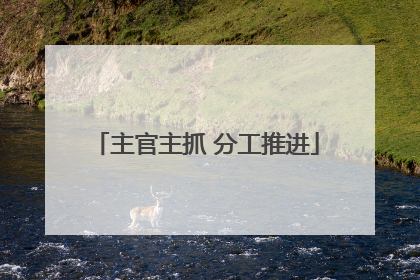 主官主抓 分工推进