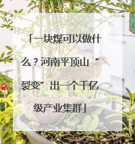 一块煤可以做什么？河南平顶山“裂变”出一个千亿级产业集群