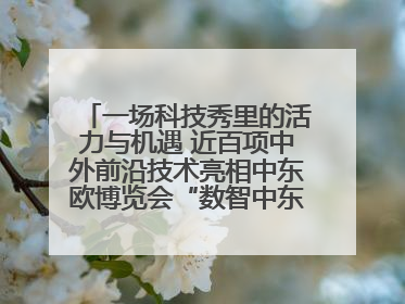 一场科技秀里的活力与机遇 近百项中外前沿技术亮相中东欧博览会“数智中东欧”板块