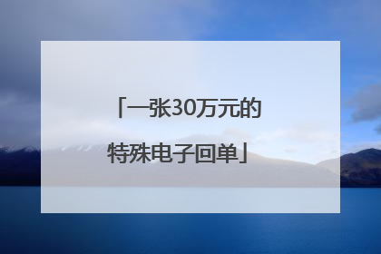 一张30万元的特殊电子回单