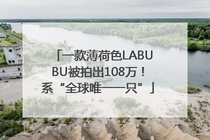 一款薄荷色LABUBU被拍出108万！系“全球唯一一只”