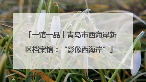 一馆一品丨青岛市西海岸新区档案馆：“影像西海岸”