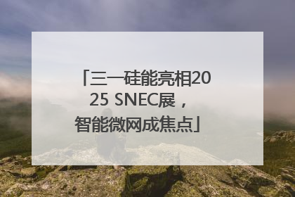 三一硅能亮相2025 SNEC展，智能微网成焦点