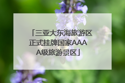 三亚大东海旅游区正式挂牌国家AAAA级旅游景区
