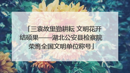 三袁故里勤耕耘 文明花开结硕果——湖北公安县检察院荣膺全国文明单位称号