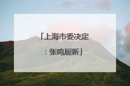 上海市委决定：张鸣履新