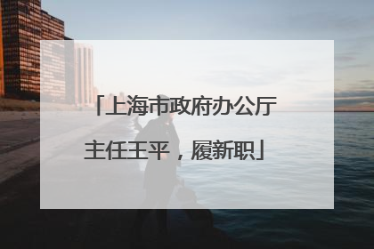上海市政府办公厅主任王平，履新职