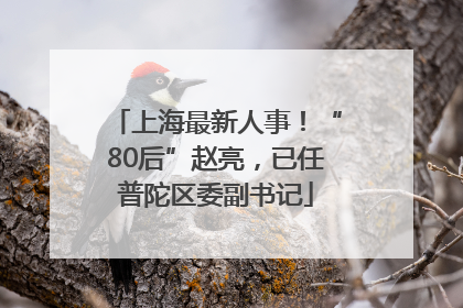 上海最新人事！“80后”赵亮，已任普陀区委副书记