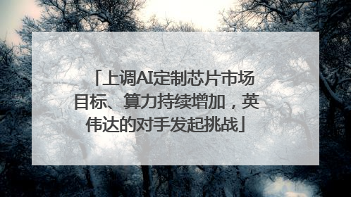 上调AI定制芯片市场目标、算力持续增加，英伟达的对手发起挑战