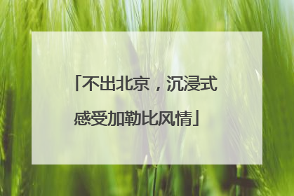 不出北京，沉浸式感受加勒比风情