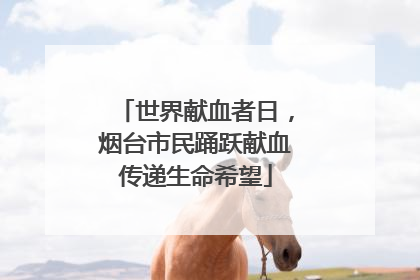 世界献血者日，烟台市民踊跃献血传递生命希望