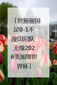 世预赛国足0-1不敌印尼队 无缘2026美加墨世界杯