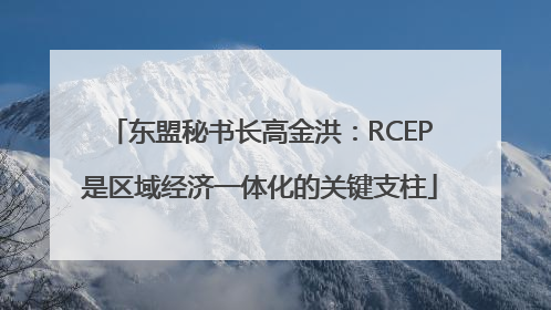东盟秘书长高金洪：RCEP是区域经济一体化的关键支柱