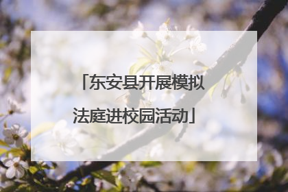 东安县开展模拟法庭进校园活动
