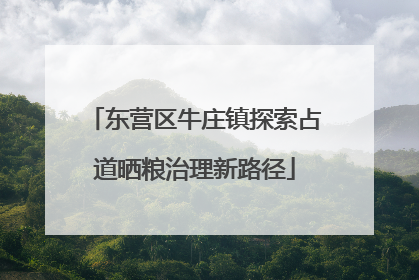 东营区牛庄镇探索占道晒粮治理新路径