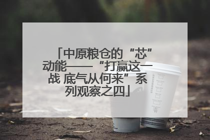 中原粮仓的“芯”动能——“打赢这一战 底气从何来”系列观察之四