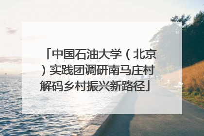 中国石油大学（北京）实践团调研南马庄村解码乡村振兴新路径