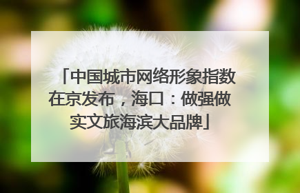 中国城市网络形象指数在京发布，海口：做强做实文旅海滨大品牌