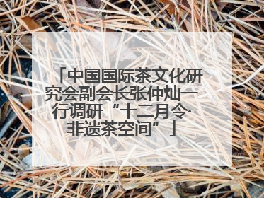 中国国际茶文化研究会副会长张仲灿一行调研“十二月令·非遗茶空间”