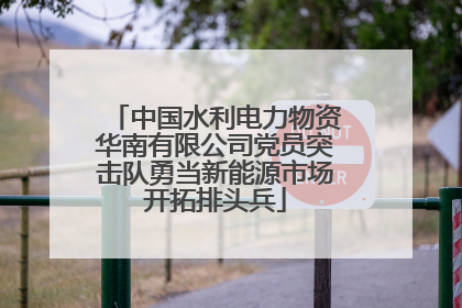 中国水利电力物资华南有限公司党员突击队勇当新能源市场开拓排头兵