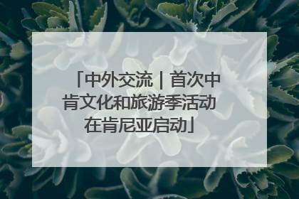 中外交流｜首次中肯文化和旅游季活动在肯尼亚启动