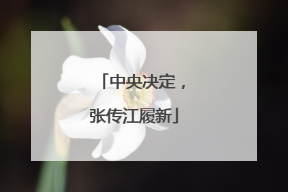 中央决定，张传江履新
