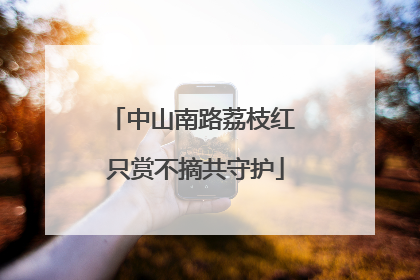 中山南路荔枝红 只赏不摘共守护