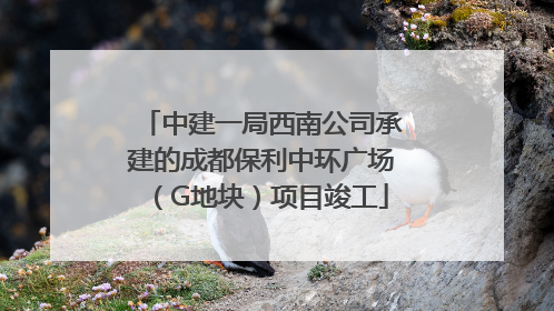 中建一局西南公司承建的成都保利中环广场（G地块）项目竣工