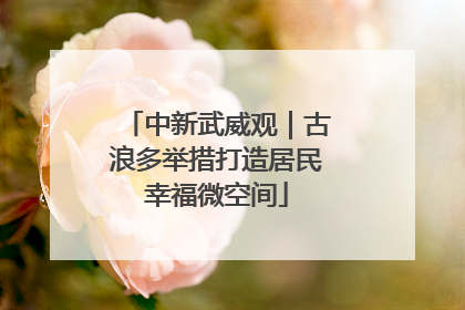 中新武威观｜古浪多举措打造居民幸福微空间