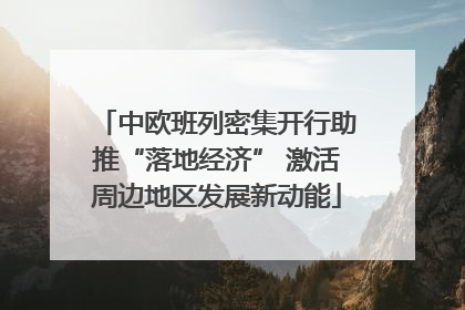 中欧班列密集开行助推“落地经济” 激活周边地区发展新动能