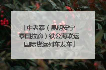 中老泰（昆明安宁—泰国拉廊）铁公海联运国际货运列车发车