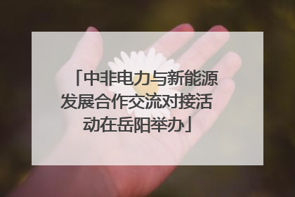 中非电力与新能源发展合作交流对接活动在岳阳举办