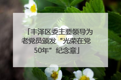 丰泽区委主要领导为老党员颁发“光荣在党50年”纪念章