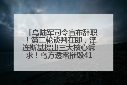 乌陆军司令宣布辞职！第二轮谈判在即，泽连斯基提出三大核心诉求！乌方透露摧毁41架俄战略轰炸机