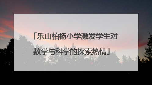 乐山柏杨小学激发学生对数学与科学的探索热情