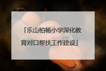 乐山柏杨小学深化教育对口帮扶工作建设