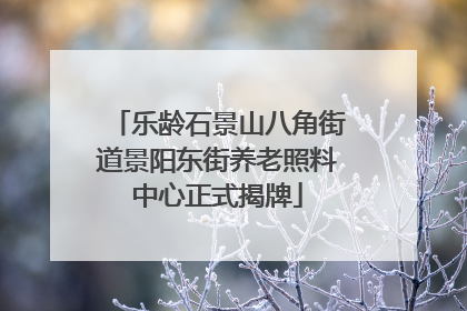 乐龄石景山八角街道景阳东街养老照料中心正式揭牌