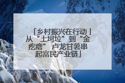 乡村振兴在行动丨从“土坷垃”到“金疙瘩” 卢龙甘薯串起富民产业链