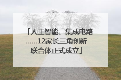 人工智能、集成电路……12家长三角创新联合体正式成立