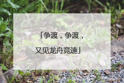 争渡，争渡，又见龙舟竞速