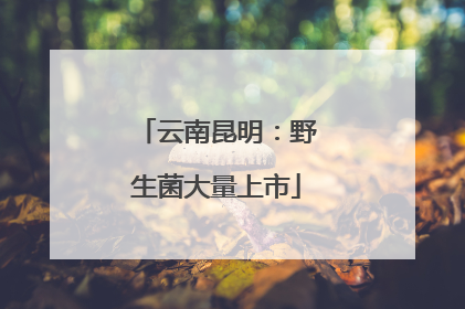 云南昆明：野生菌大量上市