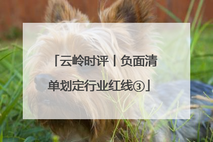 云岭时评丨负面清单划定行业红线③