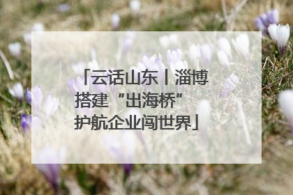 云话山东丨淄博搭建“出海桥” 护航企业闯世界