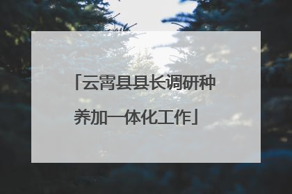 云霄县县长调研种养加一体化工作