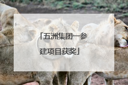 五洲集团一参建项目获奖